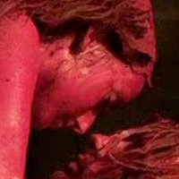 Gaite Jansen Nude